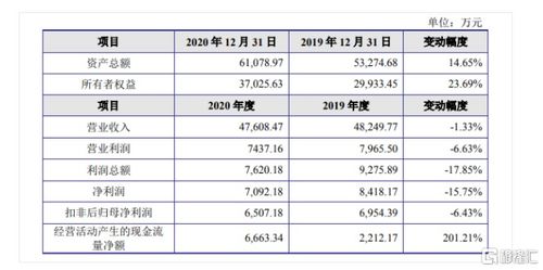 金智教育聚焦高等教育信息化，2020年營收達4.7億元，核心業務為信息系統集成服務